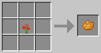 Amaryllis