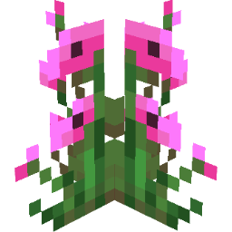 Screenshot pink anemone