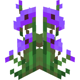 Screenshot purple anemone
