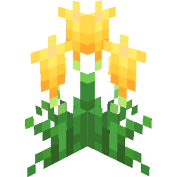 Screenshot yellow arum lily