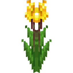 Screenshot yellow canna