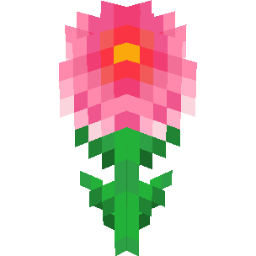 Screenshot pink chrysanthemum
