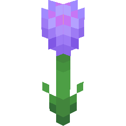 Screenshot purple dahlia
