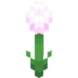 Screenshot white dahlia