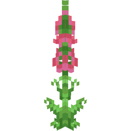 Screenshot pink foxglove
