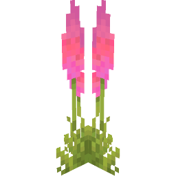Screenshot pink foxtail lily