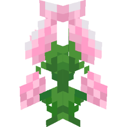 Screenshot pink gardenia