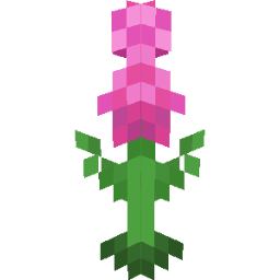 Screenshot pink gillyflower