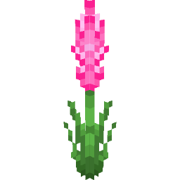 Screenshot pink gladiolus
