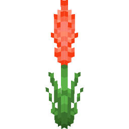 Screenshot orange gladiolus