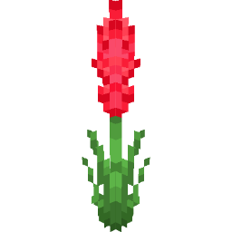 Screenshot red gladiolus