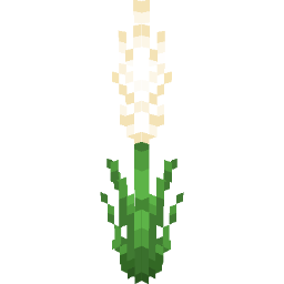 Screenshot white gladiolus