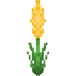 Screenshot yellow gladiolus