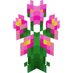 Screenshot pink hellebore