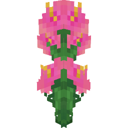Screenshot pink hibiscus