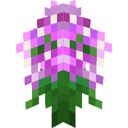 Screenshot pink hydrangea