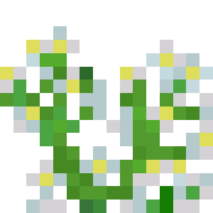 Jasmine
