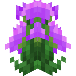Screenshot purple kalanchoe