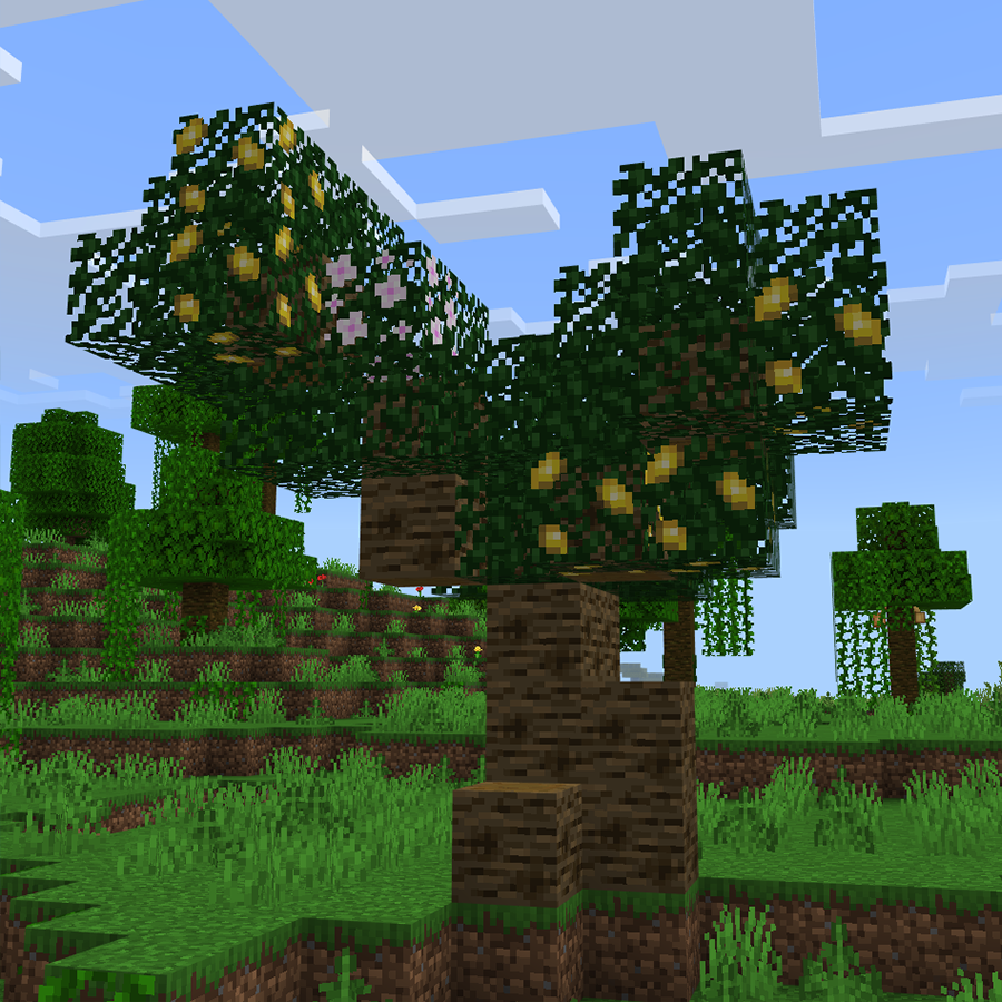 LemonTree