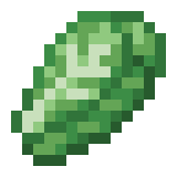 Lettuce