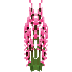 Screenshot pink lobelia