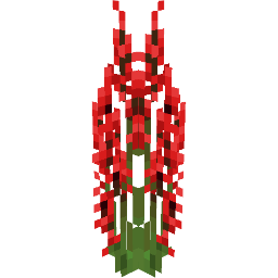 Screenshot red lobelia