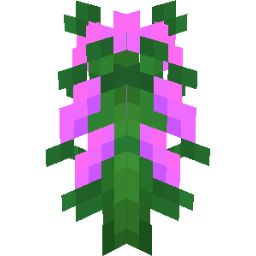 Screenshot pink nasturtium