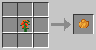 Nasturtium