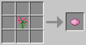 Oleander