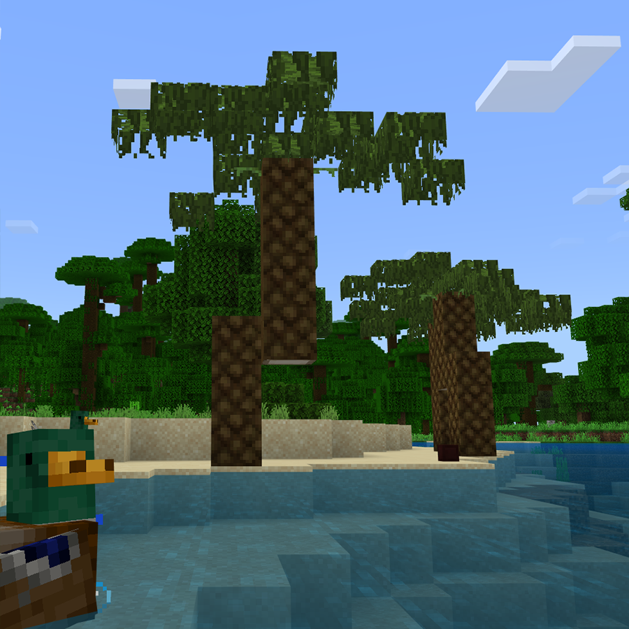 Palmtree