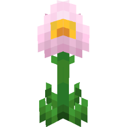Screenshot white pansy