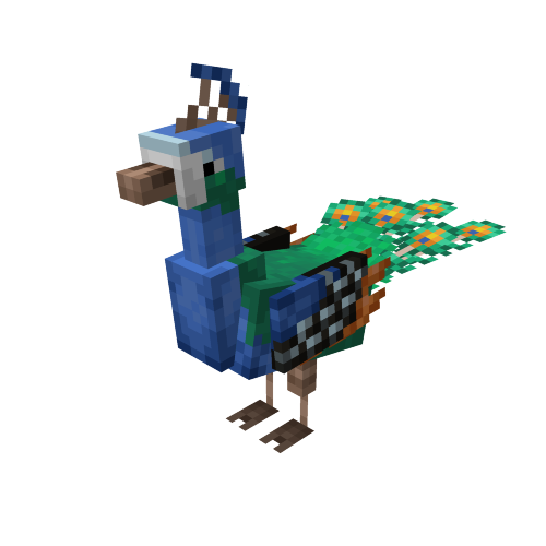 Peacock