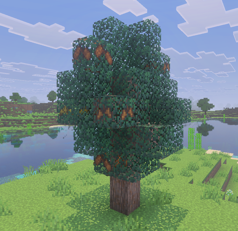 Pine