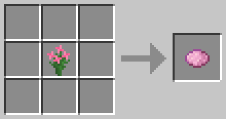 Plumeria