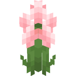 Screenshot pink ranunculus