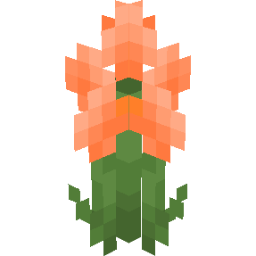 Screenshot orange ranunculus