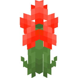 Screenshot red ranunculus