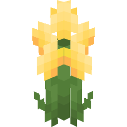 Screenshot yellow ranunculus