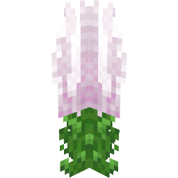 Screenshot white sage