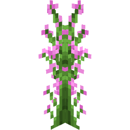 Screenshot silene