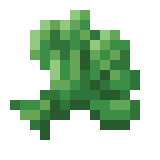 Spinach