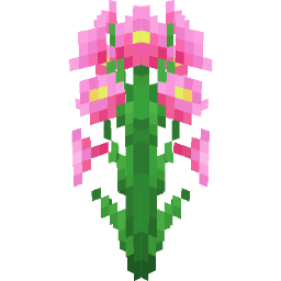 Screenshot pink stargazer lily