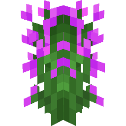Screenshot pink statice
