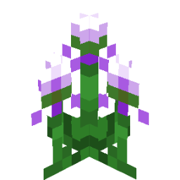 Screenshot purple venus slipper