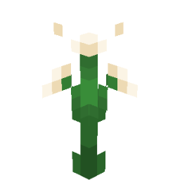 Screenshot white verbena