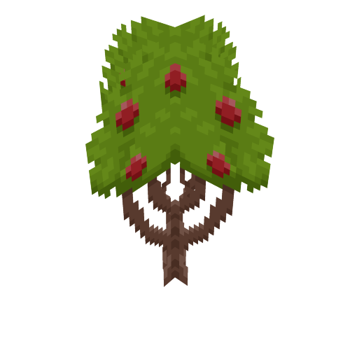 Apple Tree