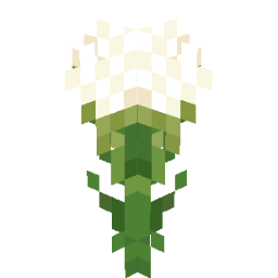 Screenshot white yarrow