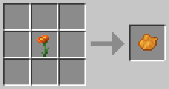 Zinnia